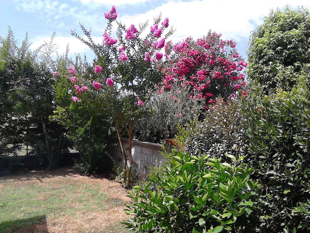 Bed And Breakfast Catherina بونساكو المظهر الخارجي الصورة